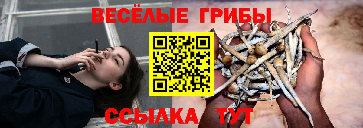 Чайковский  Псилоцибиновые грибы мухоморы  Галлюциногенные грибы Psilocybine cubensis  Вход с VPN 
